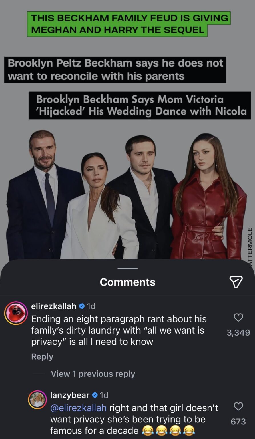 Alana Hadid (the sister of Nicola Peltz’s ex boyfriend Anwar Hadid) says Nicola doesn't want privacy and she's been trying to be famous for a decade