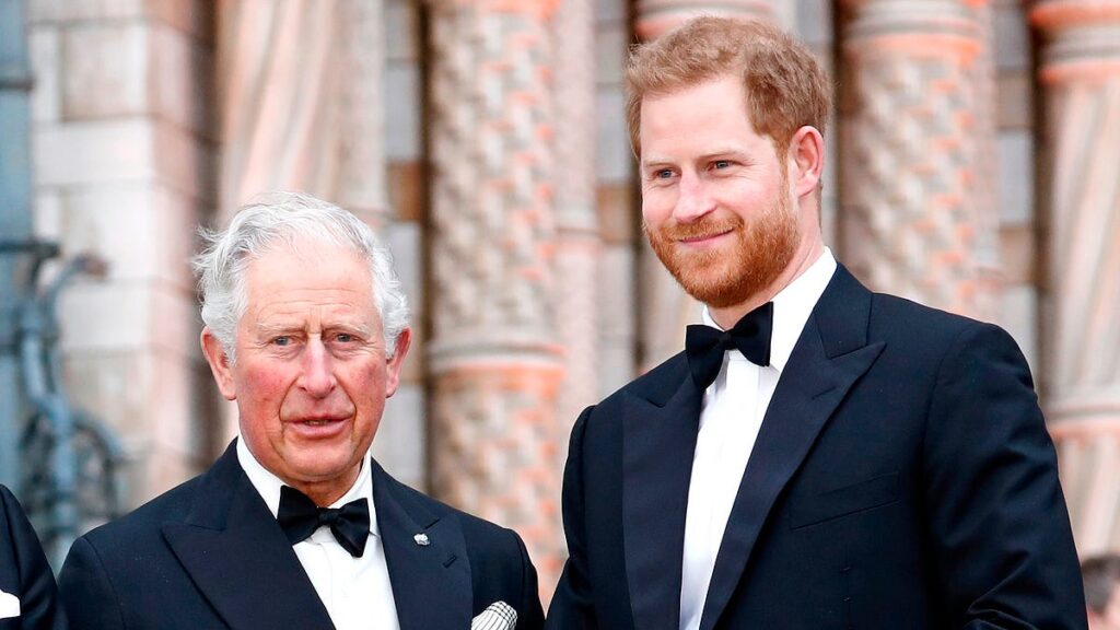 Harry and Charles' lack of reunion 'not a shame'