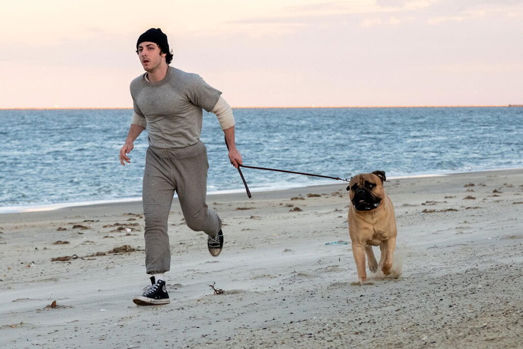 “In the Grey,” “I Play Rocky” Set New Dates "In the Grey," "I Play Rocky" Set New Dates