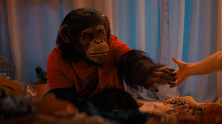 Ben reaches out a hand in Primate