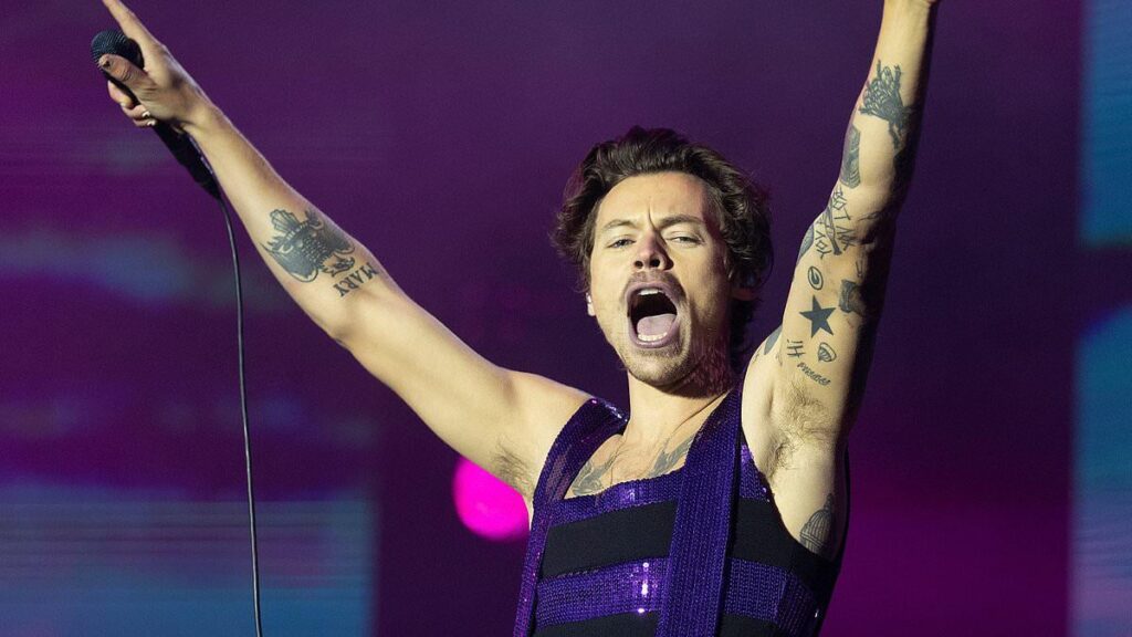 Harry Styles fans threaten to BOYCOTT over cost of his concert tickets