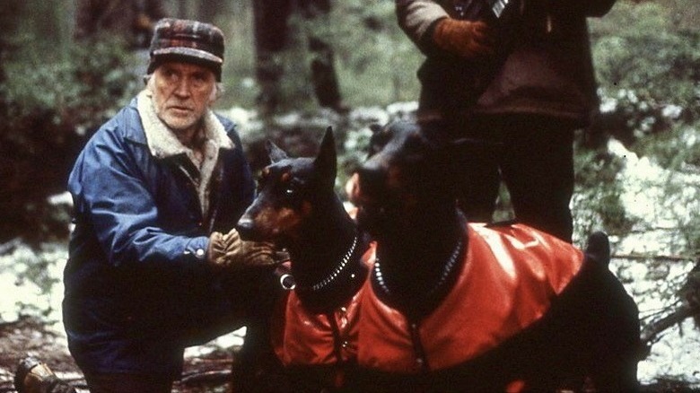 Orval and his dogs listening in 