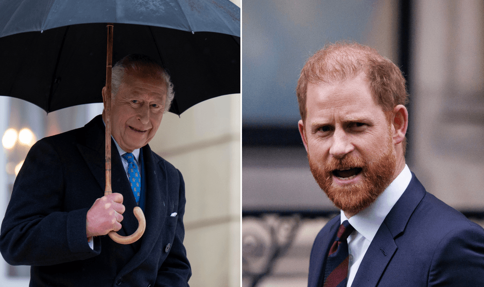 King Charles and Prince Harry