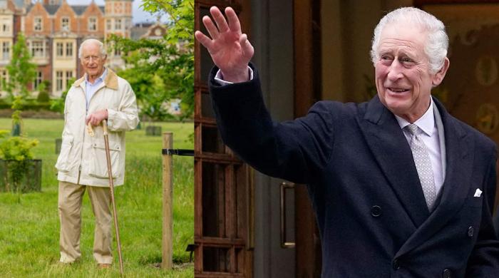 Royal family unveils surprising update on King Charles life in 2026's first message