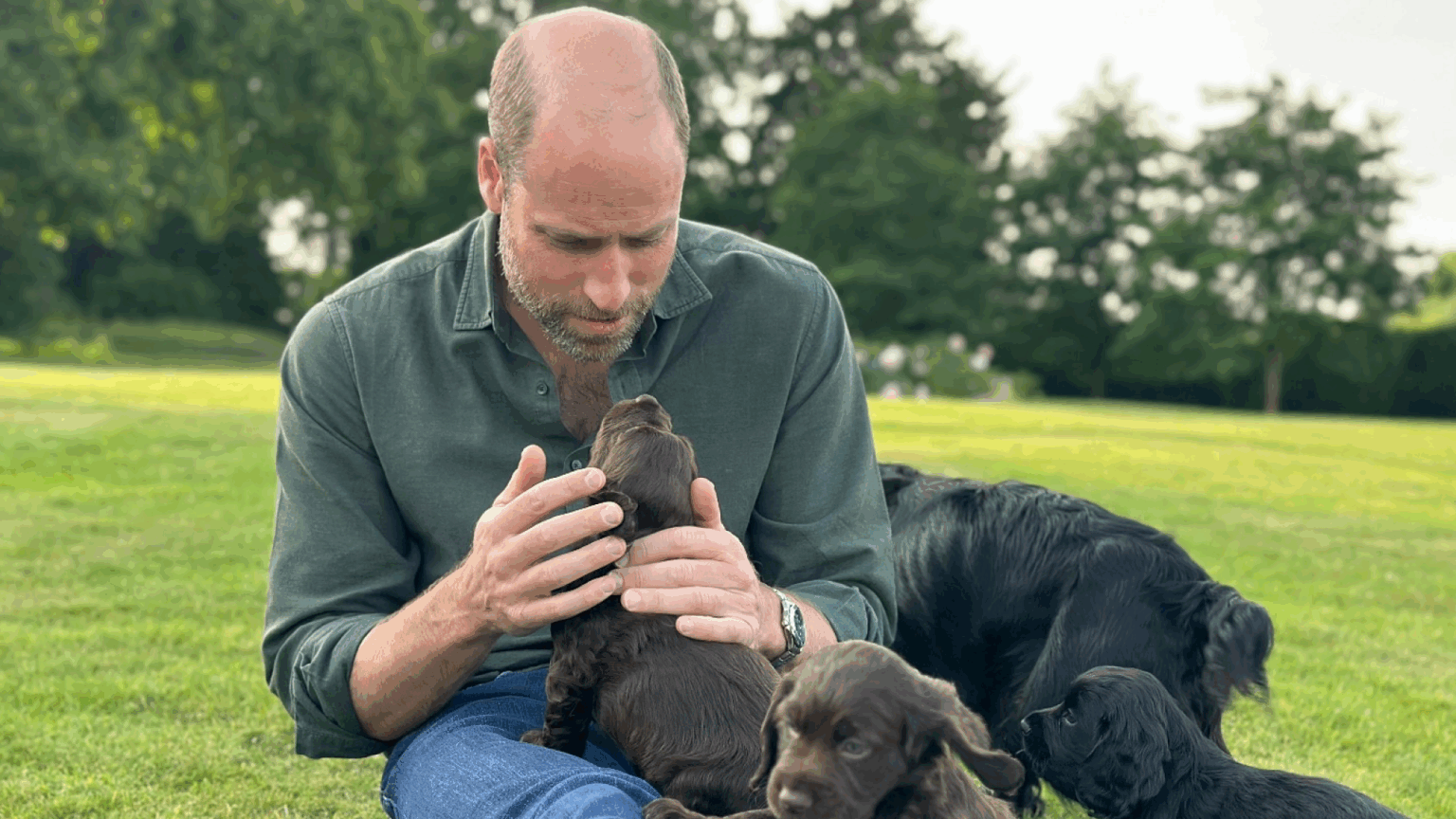 Prince William sitting in grass petting puppies