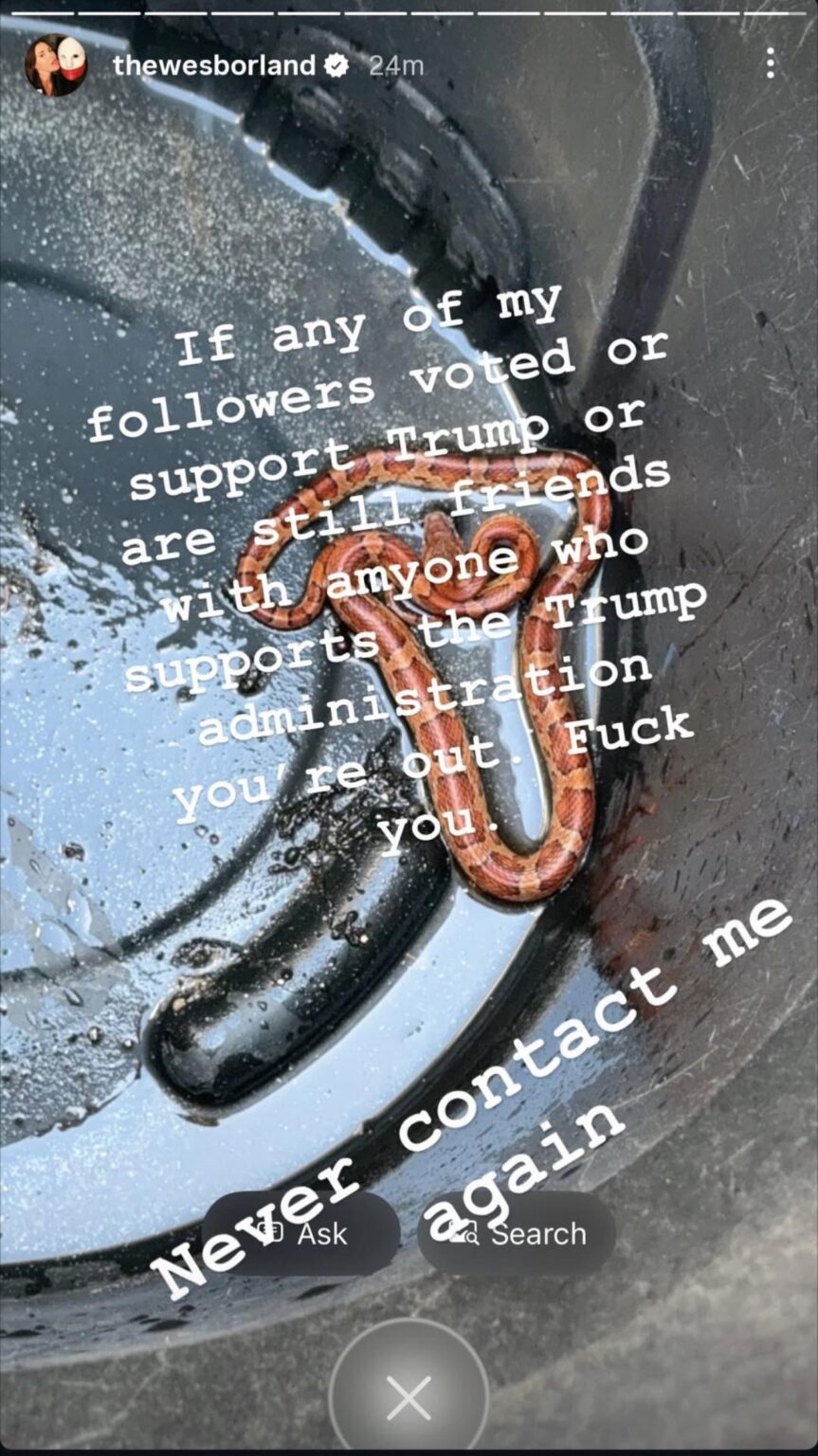 Wes Borland of Limp Bizkit on anybody who voted for Trump