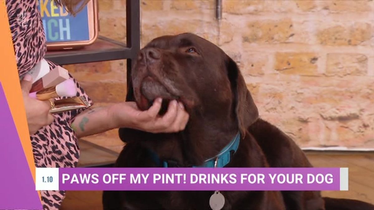 Hurley on Steph's Packed Lunch