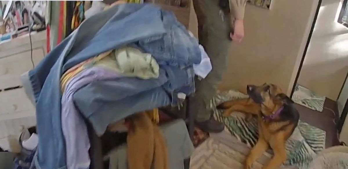 Gene Hackman police body cam shows dog protecting actor's wife’s body
Santa Fe County Sheriff’s officers searched Gene Hackman and his wife's New Mexico home before they found one of their live dogs lying next to actor's wife Betsy Arakawa Hackman.

https://www.foxnews.com/video/6371532714112