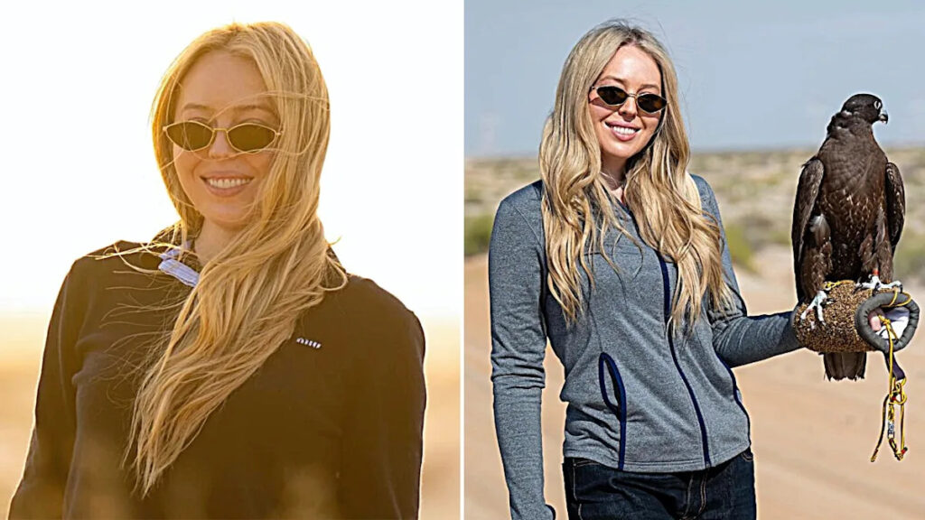 Yahoo entertainment home