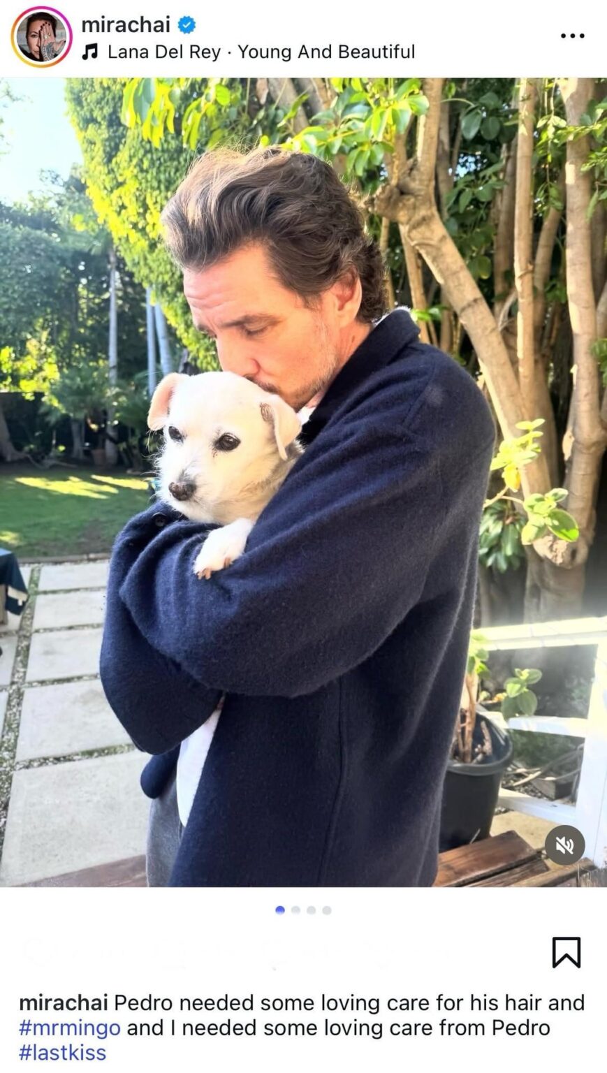 Stylist Mira Chai shares pictures of Pedro Pascal with a dog