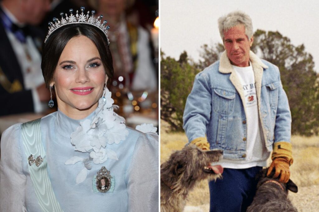 Princess Sofia of Sweden breaks silence on connection with Jeffrey Epstein