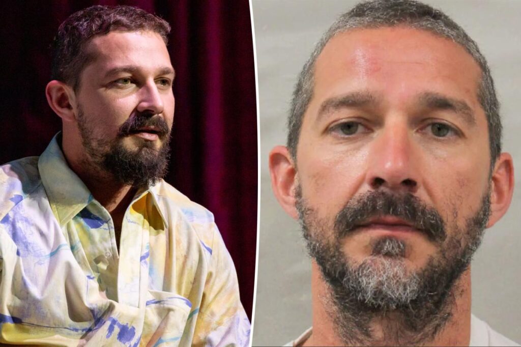 Shia LaBeouf's mugshot released after Mardi Gras arrest