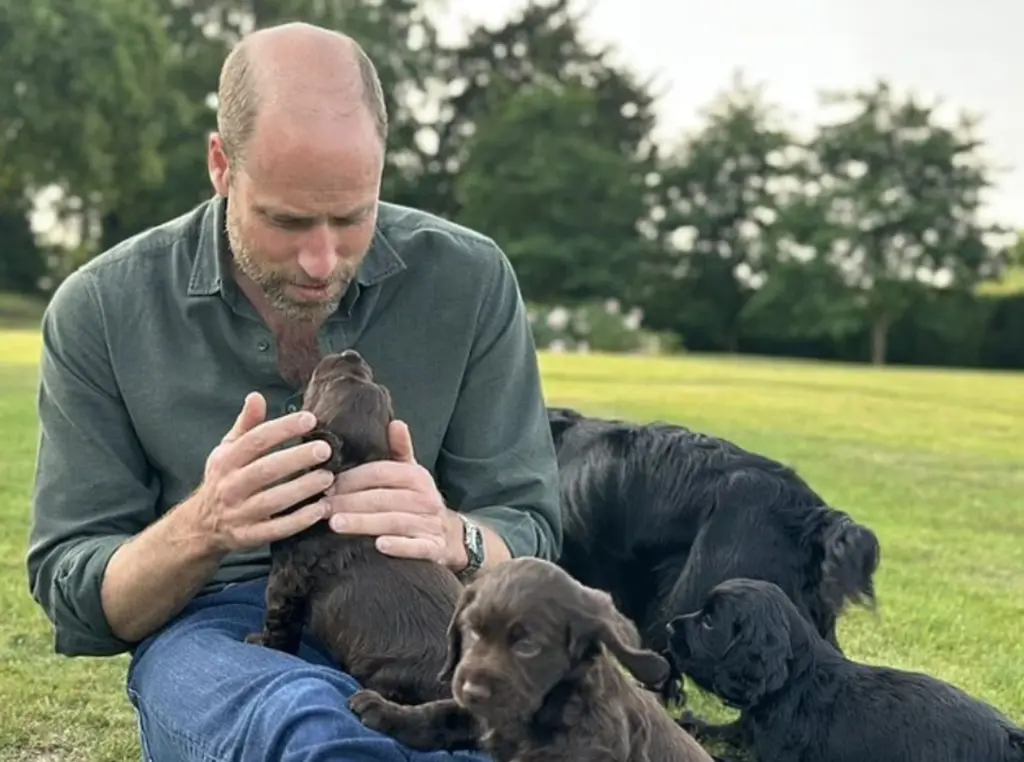 Princess of Wales confirms new family member: Kate and William have a puppy