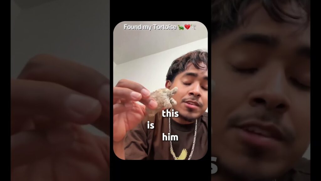 Part 2 | He Lost His Turtle 😂 #funny #hopecore #hopelesscore #comedy