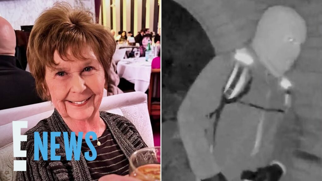 Authorities Reveal New Details About Suspect in Nancy Guthrie Case | E! News