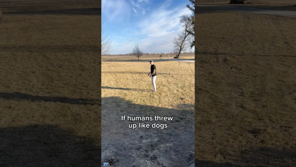 If Humans Threw Up Like Dogs