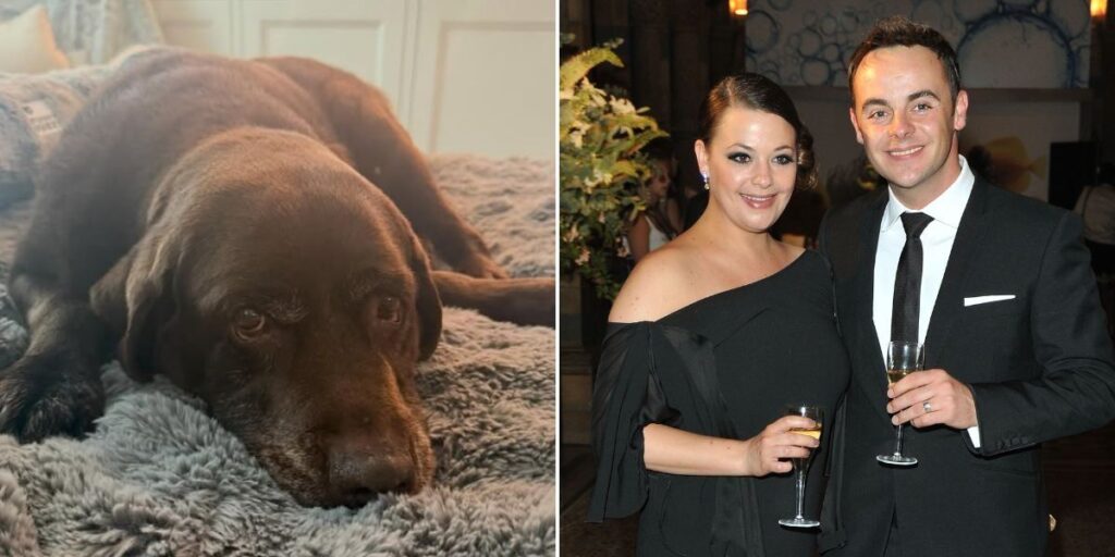 Lisa Armstrong shares news of heartbreaking loss as 'very upset' ex Ant McPartlin rushes to support