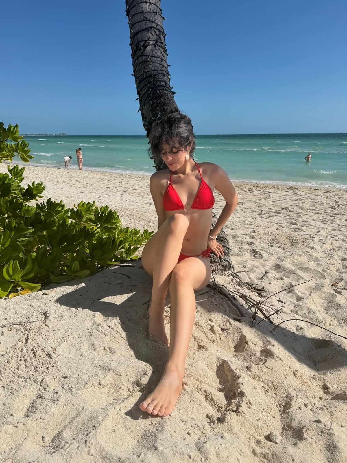 Camila then perched by a palm tree for her next snap
