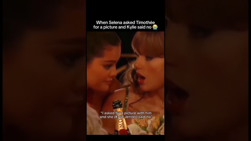 When Selena Gomez asked Timothée Chalamet for a picture but kylie jenner said no 😭