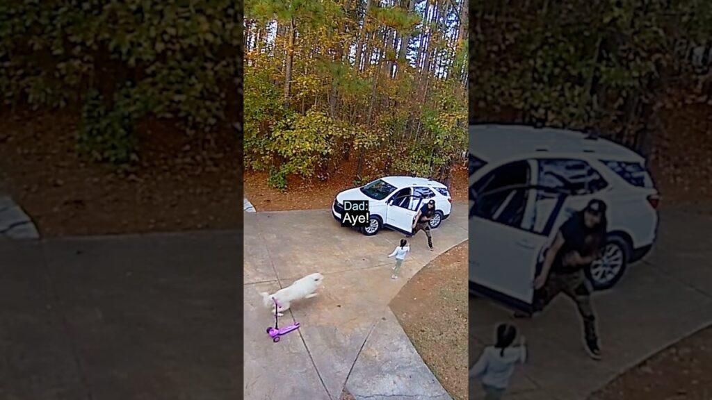 Hero Dad Saves Daughter From Dog