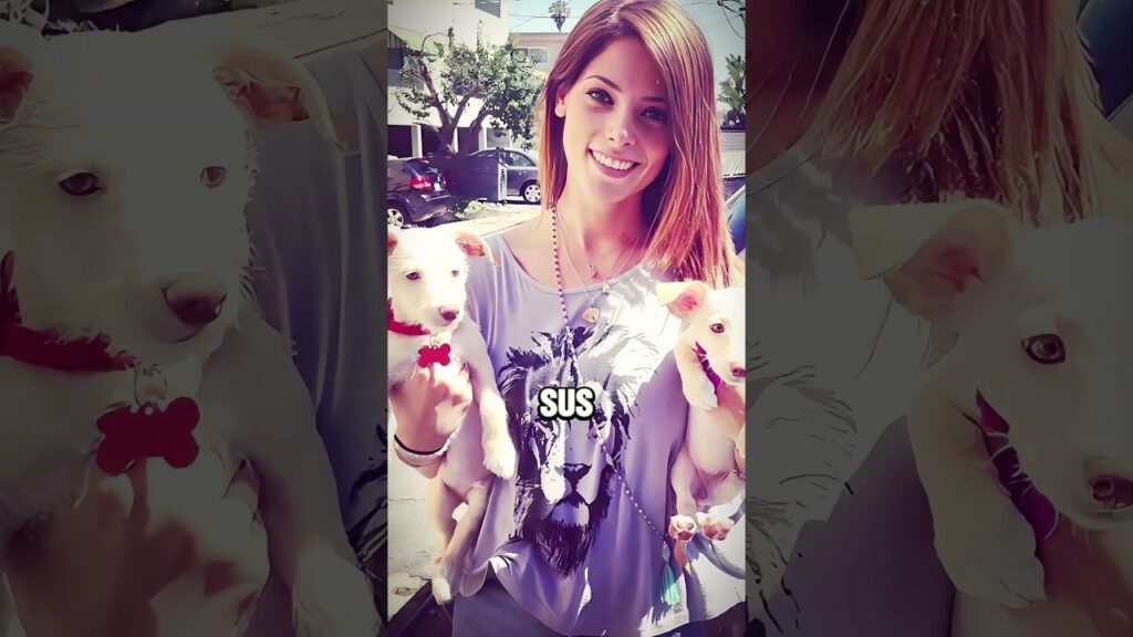 ¿Aún recuerdas a Ashley Greene?