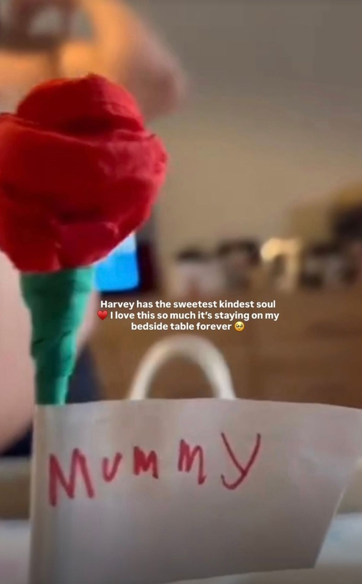Katie Price gushes over Harvey's gift of a handmade red rose