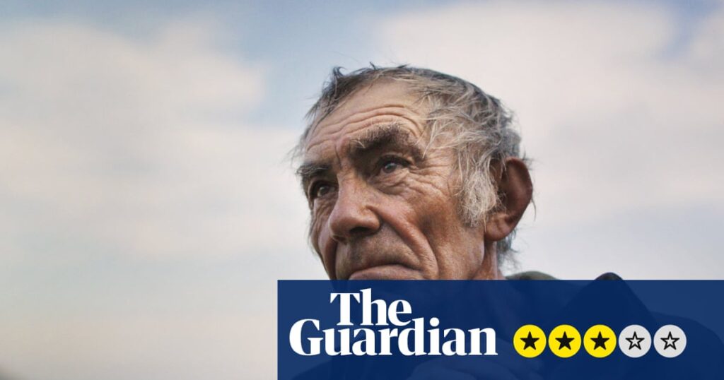 The Shepherd and the Bear review – two endangered species scrap for survival in the Pyrenees | Film The Shepherd and the Bear review – two endangered species scrap for survival in the Pyrenees | Film