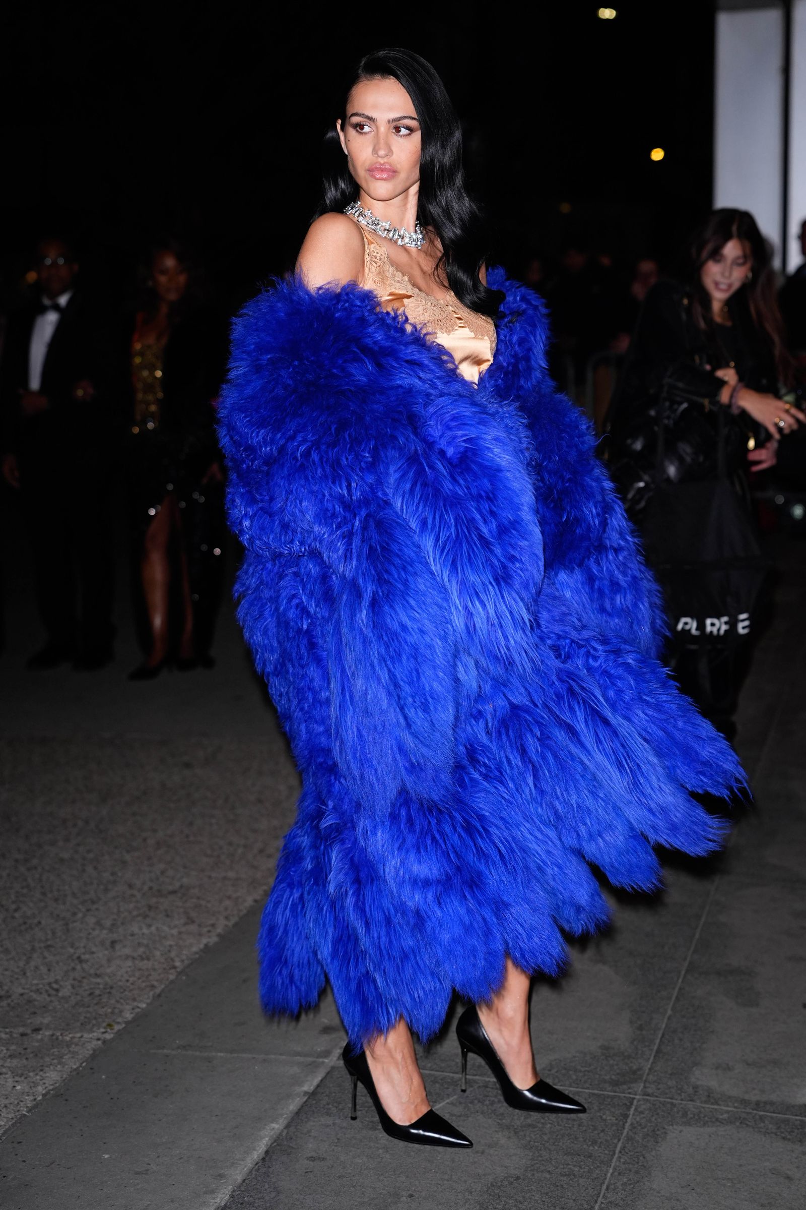 Image may contain Desire Luzinda Adult Person Accessories Jewelry Necklace Formal Wear Tie Clothing Fur and Dress