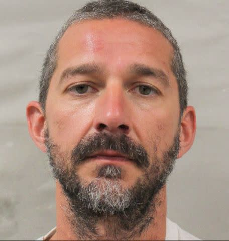 Shia LaBeouf's mugshot Orleans Parish Sheriff's Office