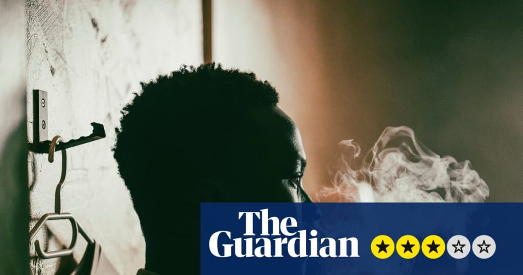 Animol review – gritty young offenders drama challenges conventional machismo | Film