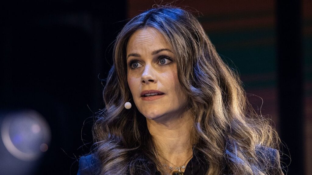 Princess Sofia breaks silence on meetings with Jeffrey Epstein