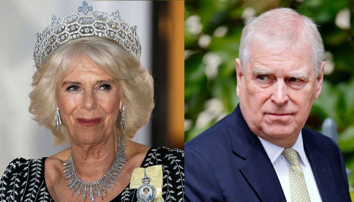 Royal Family shares Queen Camilla’s first message with video amid Andrew crisis