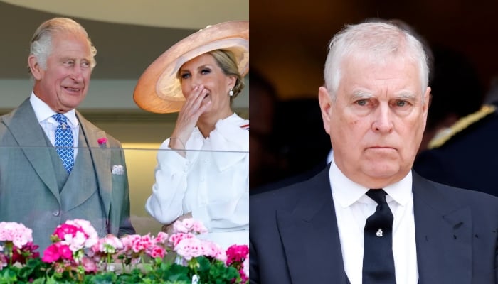 Duchess Sophie brings much-needed joy to King Charles with Hampshire visit