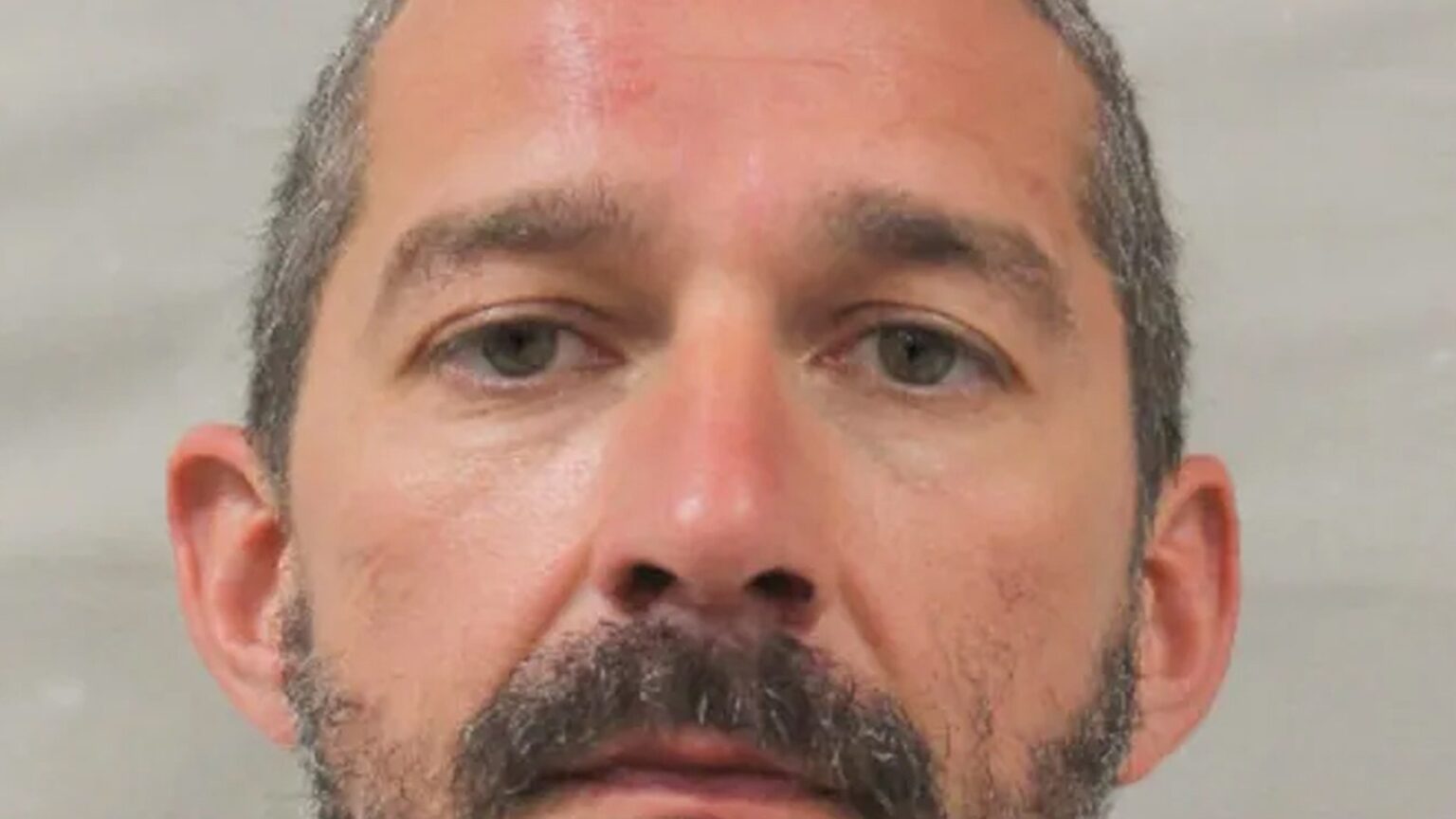 Shia LaBeouf's Mardi Gras Arrest Mug Shot Released