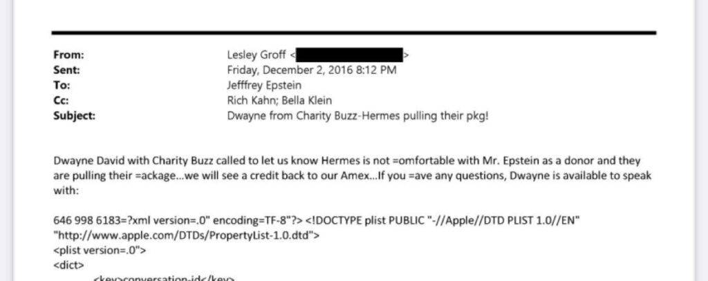 Hermes refused Epstein donations for charity event.