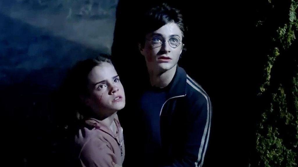 Harry Potter with Hermione