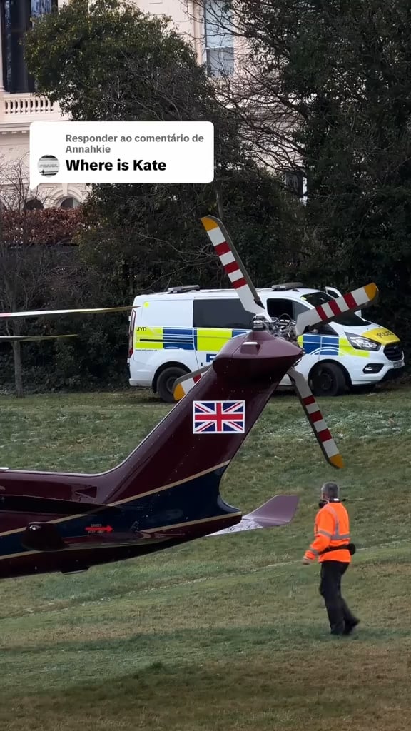 TikTok user posts video showing Kate and Louis (their legs 😂 ) disembarking first before the other video of William, George and Charlotte