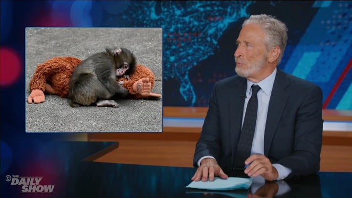 Are we wrong about Punch? Jon Stewart says yes