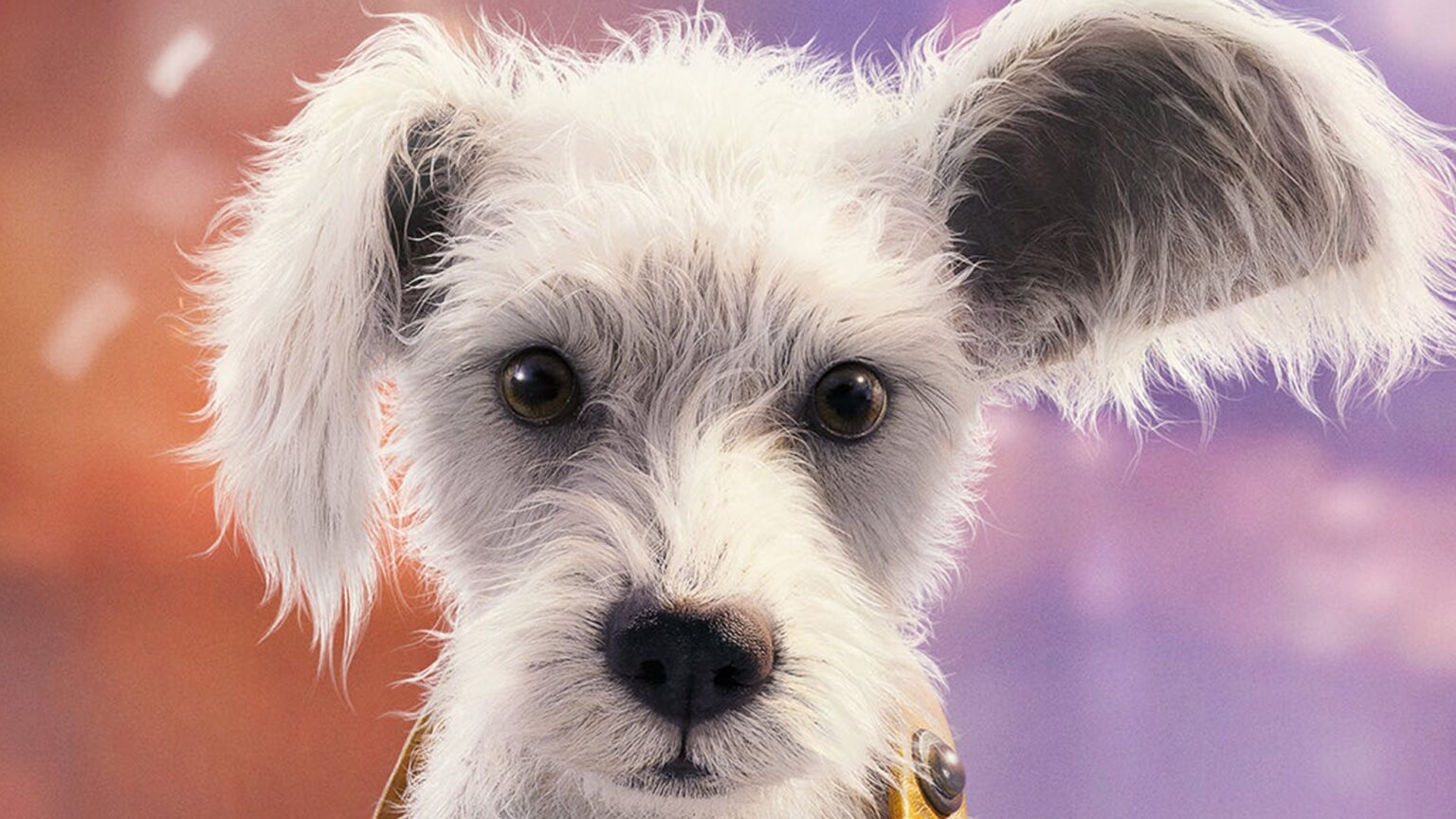 New Supergirl Footage Features Baby Krypto (And It's Everything We Wanted) - Watch The Trailer