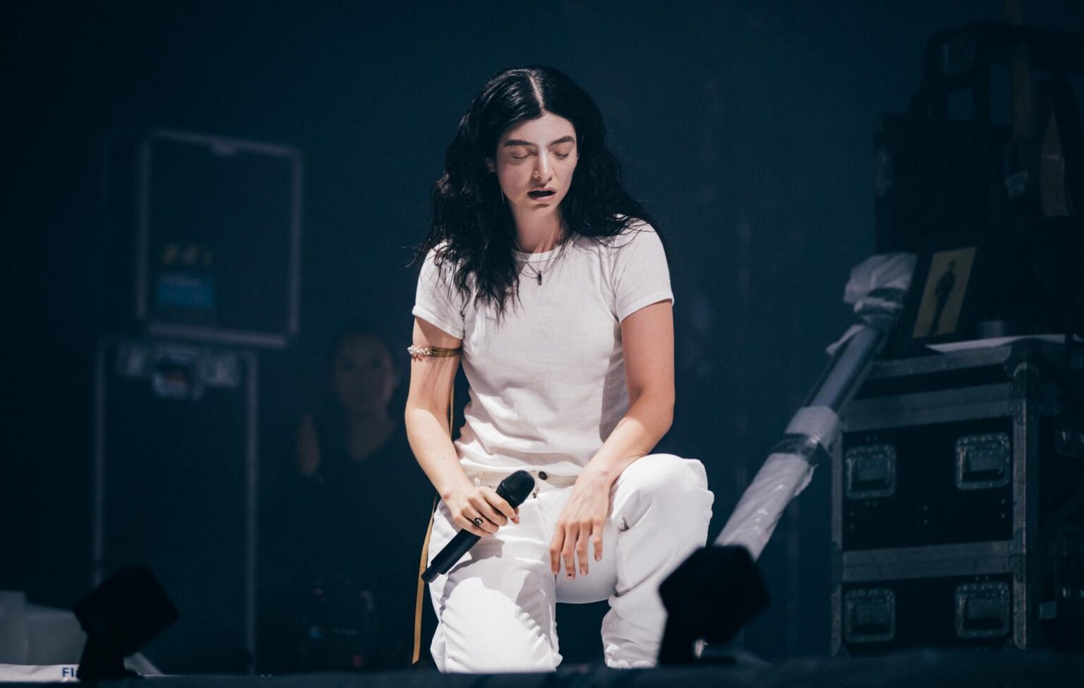 Lorde donates over $200,000 from merch sales to Minnesota immigrant funds