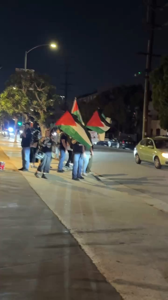Pro-Palestine protestors congregate outside the Scream 7 premiere in LA Pro-Palestine protestors congregate outside the Scream 7 premiere in LA