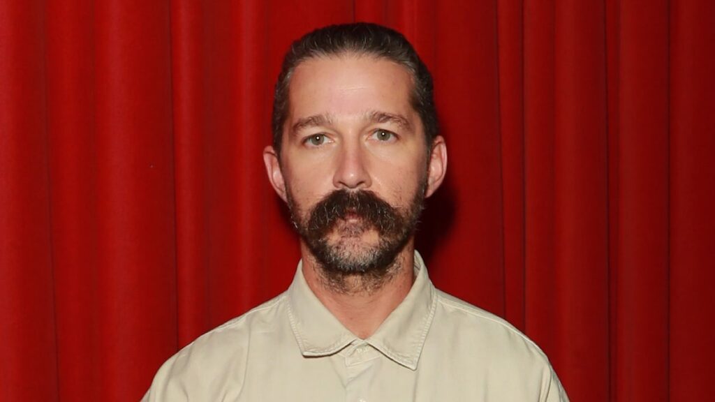 Shia LaBeouf must attend rehab after bar fight arrest amid concerns from Mia Goth Shia LaBeouf must attend rehab after bar fight arrest amid concerns from Mia Goth