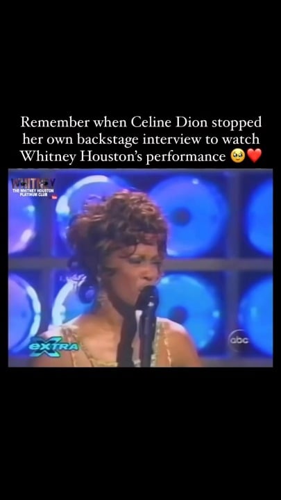 Céline Dion stopped her own interview to watch Whitney Houston's performance on TV