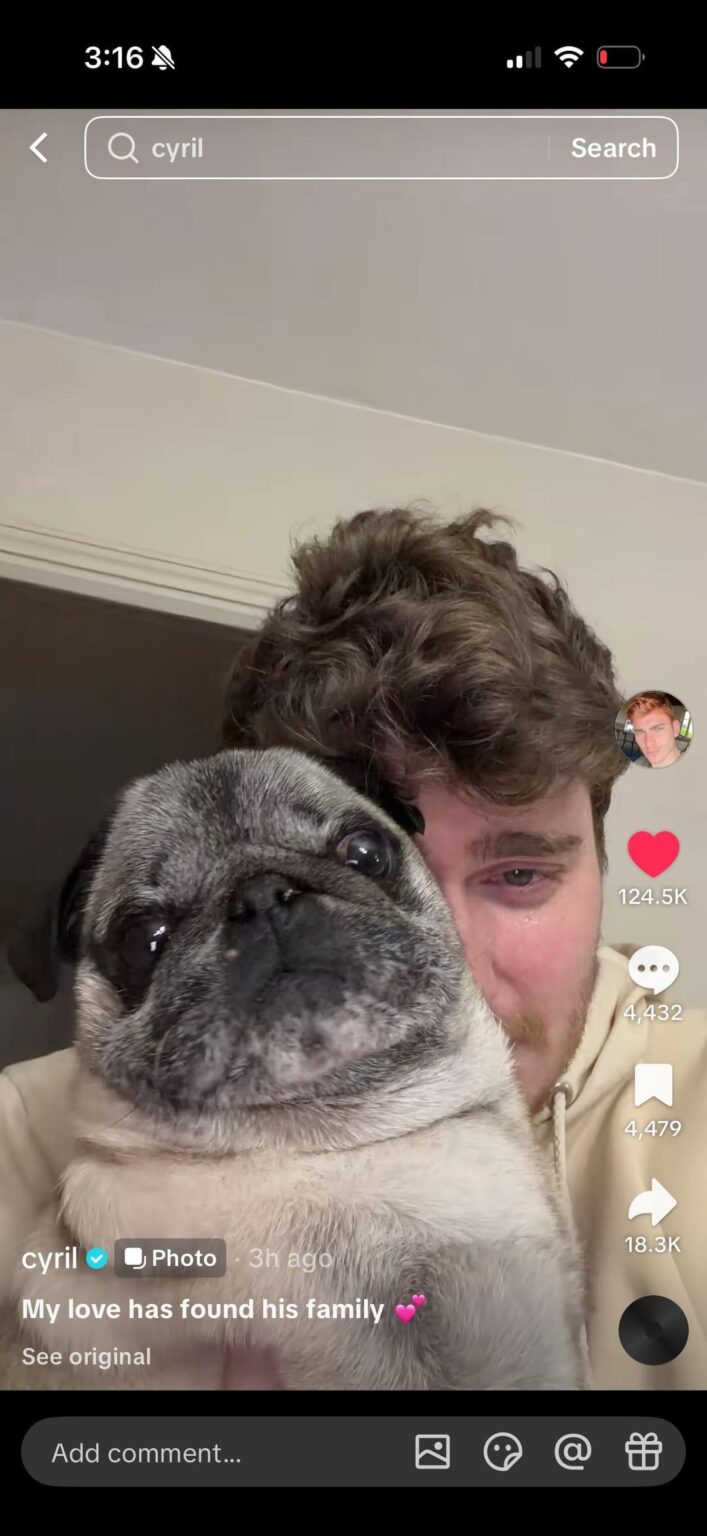 UPDATE: Albert has been returned!