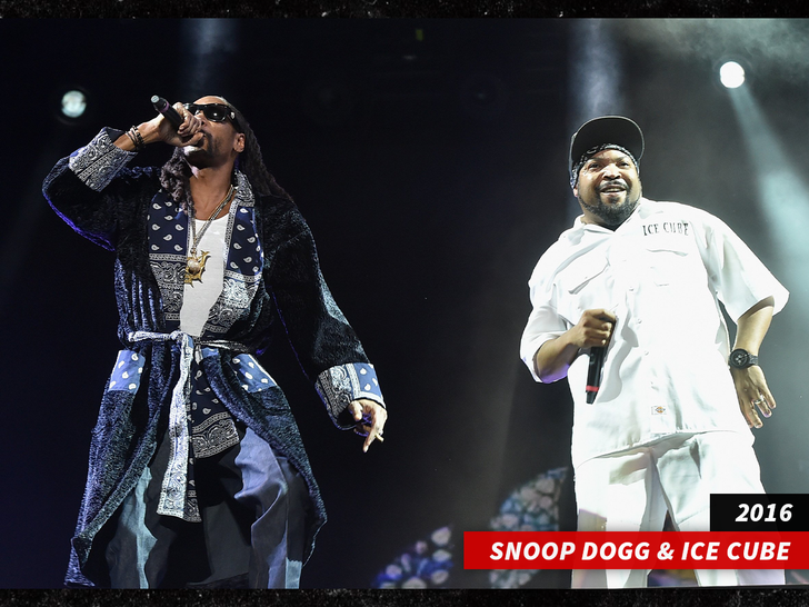 snoop dogg ice cube sub getty