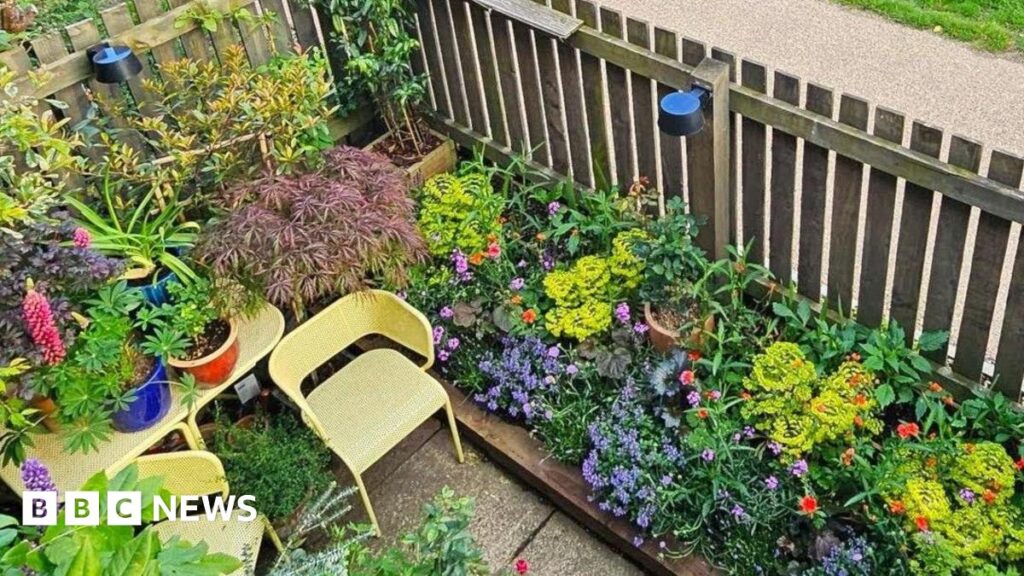 A tiny colourful garden with yellow chairs and table in the middle. A wooden fence runs around the outside