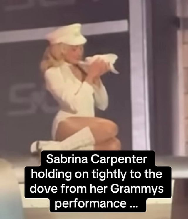 bird handler for sabrina carpenter's grammys performance featuring a live dove (named tina) says sabrina (and tina) "prepared for this"