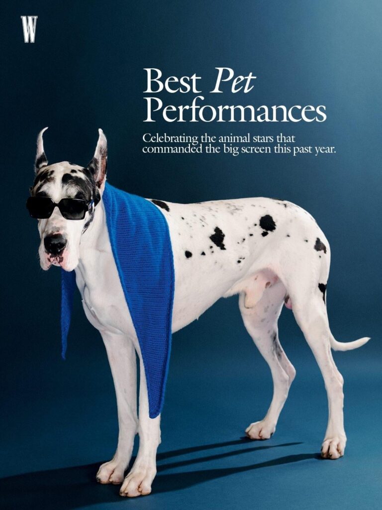W Magazine’s Best Pet Performances of 2025, photographed by Ryan Lowry