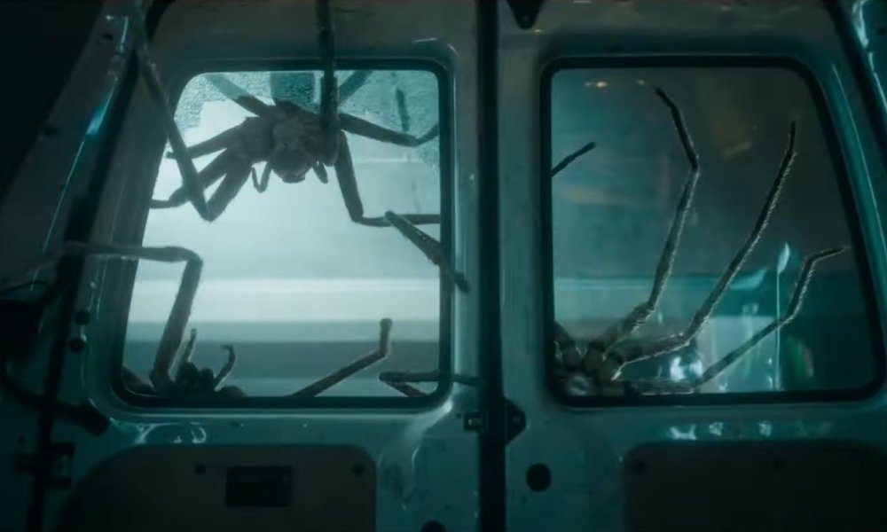 Infested Shudder - Spider Horror Moments - tarantulas