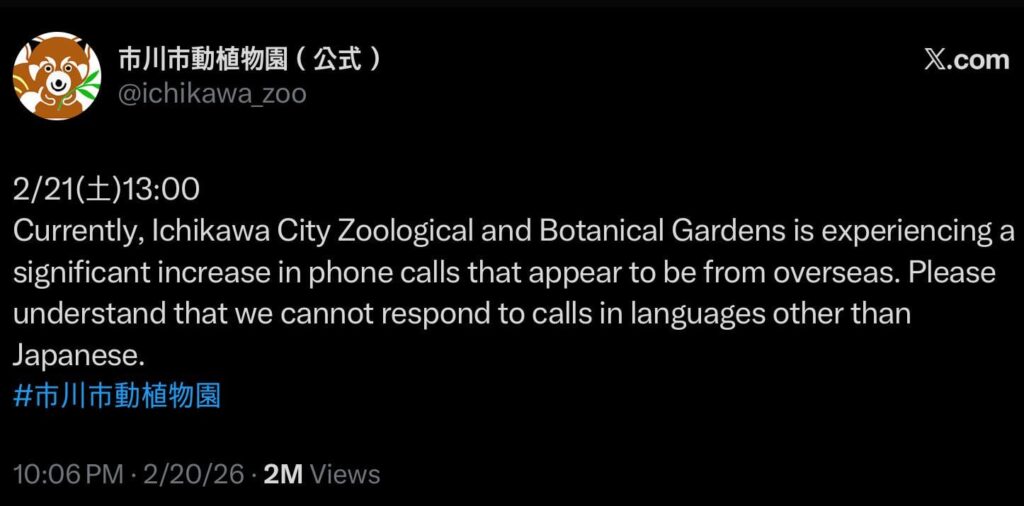 Ichikawa Zoo, where Punch the macaque monkey lives, tweets that they’ve received a significant increase in foreign calls and they cannot respond to languages other than Japanese